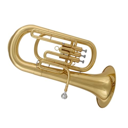 El Eufonio Afinado En Si Bemol Es Un Instrumento Adecuado Para Principiantes