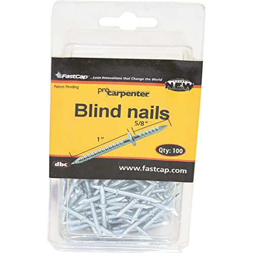 FastCap Steel BlindNail Double-Ended Nail - Great for Furniture, Picture Frames, Molding and Trim Work - 1