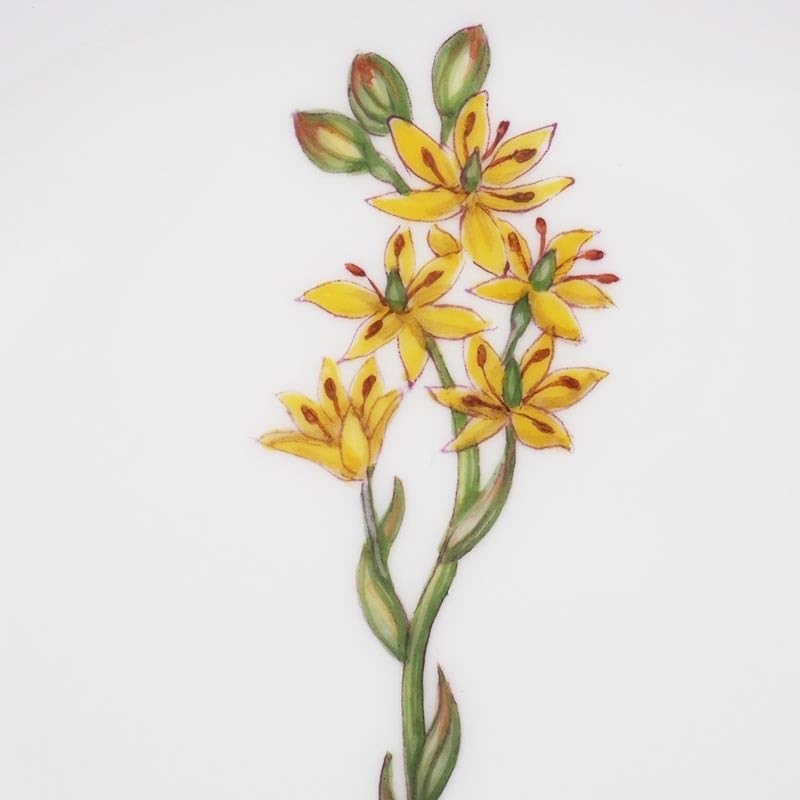 『フローラダニカ』バタープレート ロイヤルコペンハーゲン プレート□フローラダニカ バター