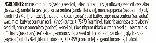 Burt's Bees® 100% Natural Origin Moisturizing Lip Shimmer, Plum, 1 Tube - Pack Of 4 (Package May Very) #TOP4