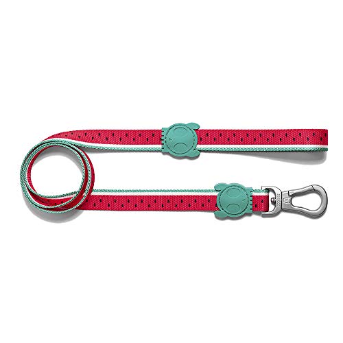 ZEEDOG Coleira para cães Lola@us size s