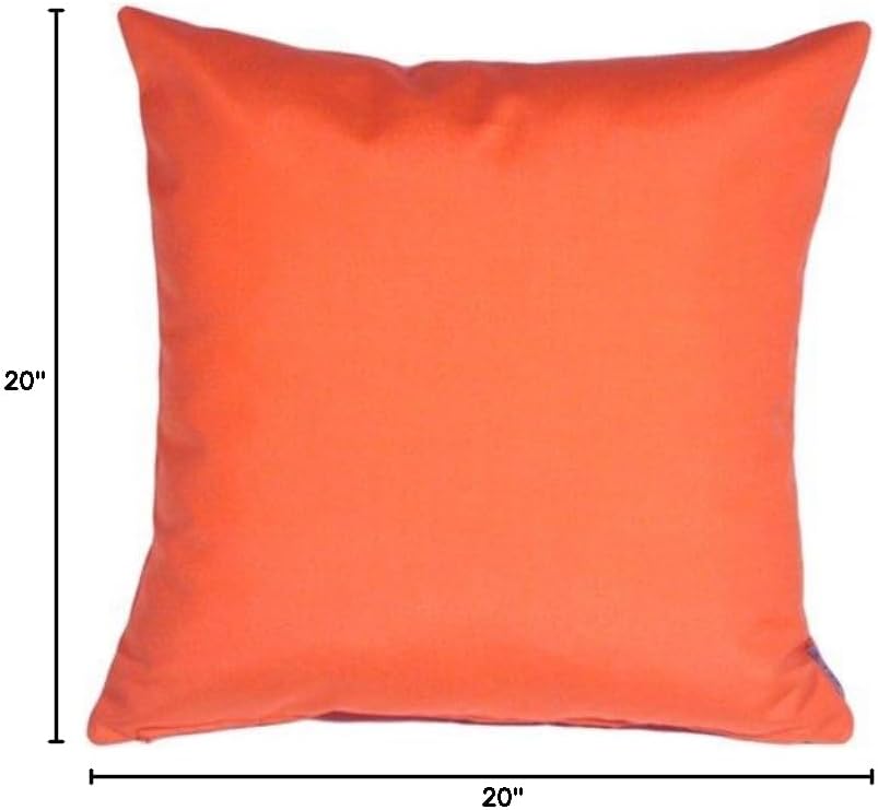 Pillow Decor Sunbrella Indoor Outdoor Throw Pillow, Melon, 20"x20" (Set of 2) - Inserts Included