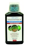 Easy-Life Potassium (K) Suplemento de Potasio para Plantas de Acuario, Abono Líquido Concentrado Que Previene Agujeros y Necrosis en Las Hojas Viejas, Esencial para el Transporte de Nutrientes, 250ml