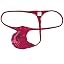 Light Wine Red