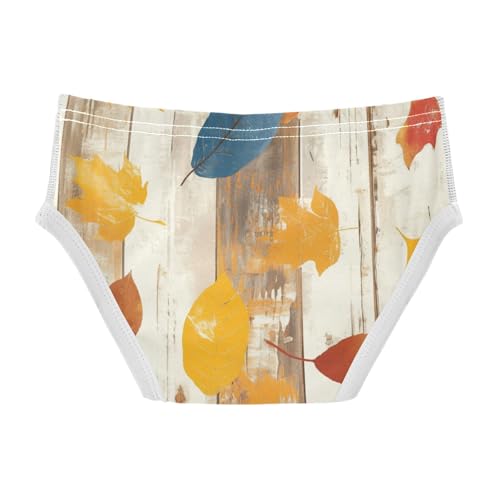 KLL Autumn Leaf on Old White Wooden Baby Boys Comfort Underwear Breathable Undies2