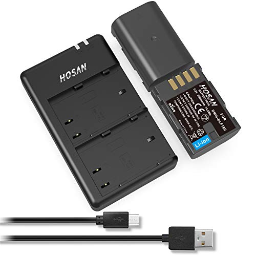 Amazon | HOSAN DMW-BLF19 DMW-BLF19E 純正互換 バッテリー 2個 + USB