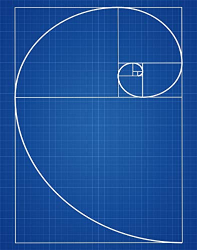Wallbuddy - Wallbuddy Fibonacci Poster Golden Spiral Poster Mathematics Poster Maths Poster Fibonacci Series Science Poster Science Print Scientific Art WB203 (13cm x 18cm, Blueprint)