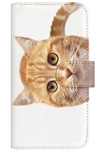 with NYAGO 蒠^ U[ P[X  ^Cv apple iPhone 16e (iPhone16e) p NYAGO m[g L[g Âڂ g yyɂ`B ͂͂܂ɂH 2750