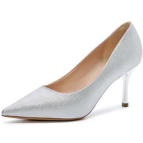 Women's Elegant Pointed Toe Pumps, Silver Metallic Textured, Classic Stiletto