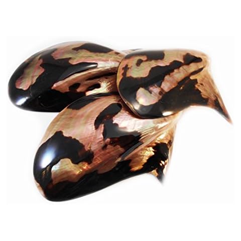 Florida Shells and Gifts Inc. 6 Polished Brownlip Oyster Shell 3-4" Mother Pearl Beach Craft Decor Inlay Cover