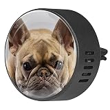 Un práctico ambientador para tu coche, espacio pequeño, bonita decoración. Y solo tienes que enganchar el difusor del coche en la rejilla de ventilación del coche