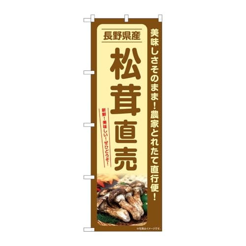 y2Zbgẑڂ艮H[ ̂ڂ 131705 쌧Y W600×H1800mm OO ̑ ɐ 󒍐Yi