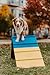 Better Sporting Dogs Agility A-Frame | Dog Agility Equipment | Dog Agility Course Equipment