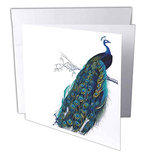 3dRose Vintage Peacock Art Greeting Card Set #TOP22