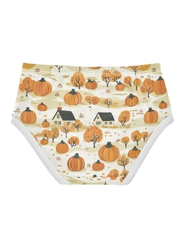 ZZKKO Fall Farmhouse Orange Pumpkin Girls Underwear Toddler Panties for Girls Comfort Brief Size 2T2