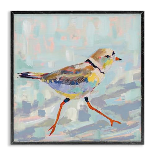 Coastal Plover Abstract Bird, 24 x 24 Inch Framed Giclée Print