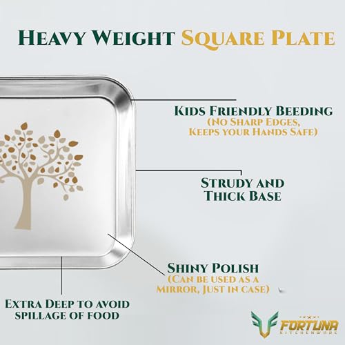Image of Stainless Steel Plates Set of 6 | Square Plates | Breakfast /Lunch /Dinner Plates Set of 6, Diameter: 8 Inches (Plain) (10 Inches, Laser Print)