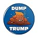 Dump Donald Trump with Poop Pinback Button Pin Badge - 2.25