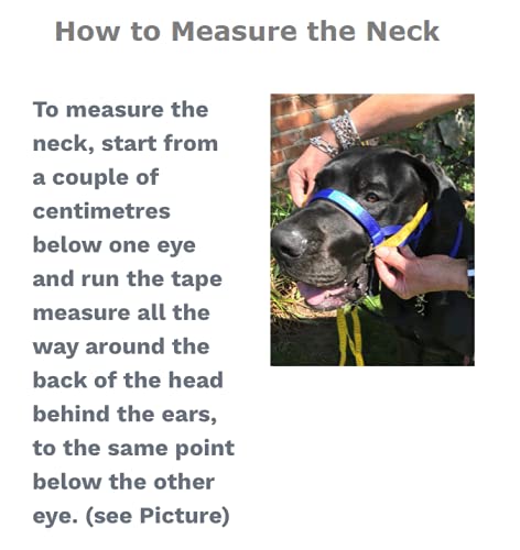 Big Dog Styles Head Collar, Made in UK for Large and Giant Breeds, Maximum Control, Stop Pulling, Anti Chew, Stainless Steel Fittings, Fully Lined. (Black, 1) - Image 4