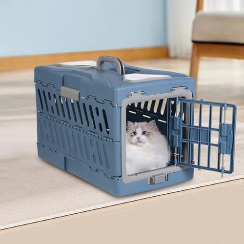 Boîte portable pour animaux bleu gris pour excursions et soins