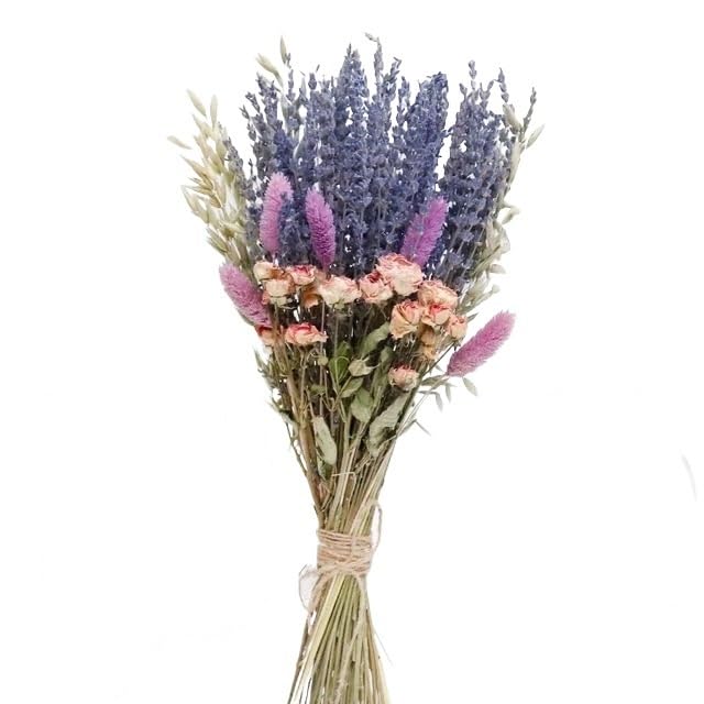 Pampas Grass Decor Ramos De Novia Secos Color Lavanda