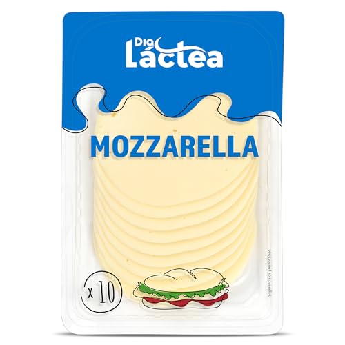DIA EL CENCERRO queso mozzarella en lonchas envase 200 gr
