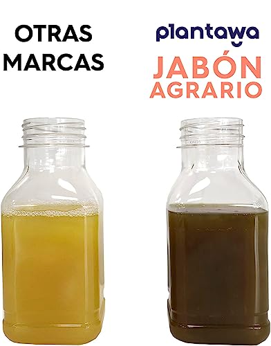 PLANTAWA Pack Ahorro Jabón Potásico 1L + Aceite de Neem 250ml, 100% Natural Protección Huerto, Sostenible, Alta Concentración, Mosca Blanca, Araña Roja, Pulgón, Cochinilla