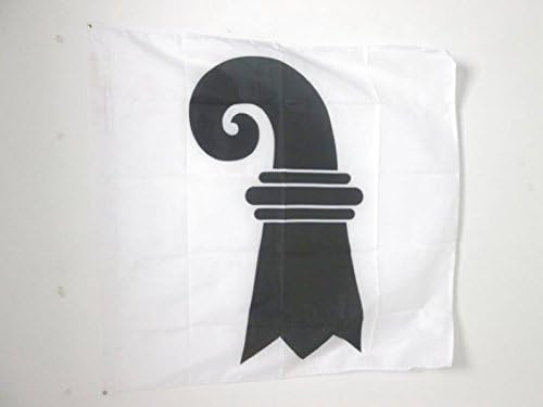 AZ FLAG, Canton of Basel-Stadt Flag, 3x3 Ft, 100% Polyester Basel-Stadt, BS Banner with Sleeve, Fade Resistant, Vivid Colors