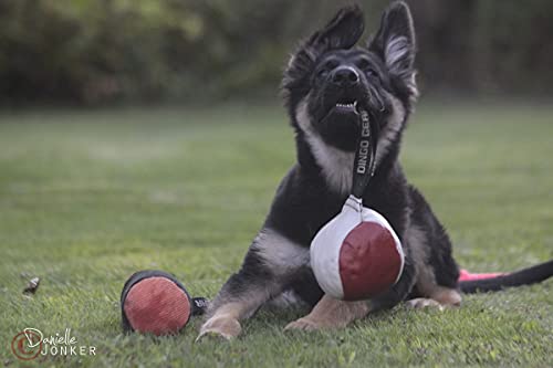 Dingo Gear Weicher Echtlederball mit Griff für das Beißtraining, Ø 11 cm, Hundespielzeug zum Apportieren und Belohnen, zufällige Auswahl