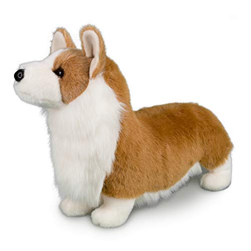 chadwick corgi