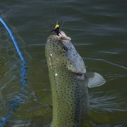 100pcs Box Mixed Color Fly Fishing kit for Trout bass Salmon French Hooks