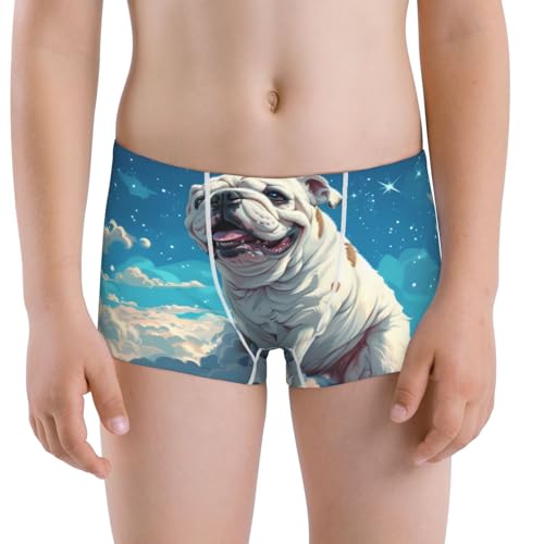 Boys' Cotton Boxer Brief Soft Underwear-Starry Sky Cloud Bulldog