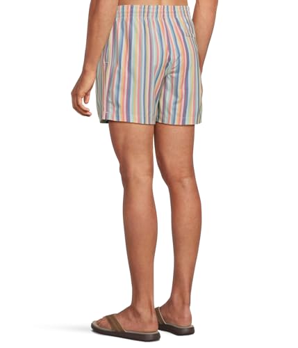 Chubbies Men's The Parlor Stripes 5.5" (Classic Lined Swim Trunk)3