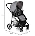 Nurse by Jané Roller Convert + Click - Silla de paseo convertible...