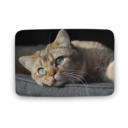 L   oX}bg \tg􂦂 z  փ}bg  O    ~ Aj LN^[ @}bg   ʏ