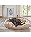 Dehner Lieblinge Hundebett und Katzenbett Sammy, oval, ca. 57 x 52 x 14 cm, Polyester, beige