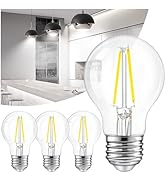 DAYBETTER 4 Pack LED Edison Bulbs, E26 LED Bulb 60W Equivalent, High Brightness 800 LM Daylight W...