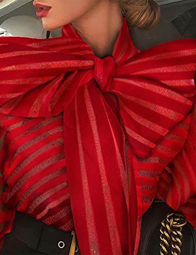 Women's Striped See Through Bouse Shirt Lantern Sleeve Party Bow Collar Perspective Mesh Lace Up T-Shirt2