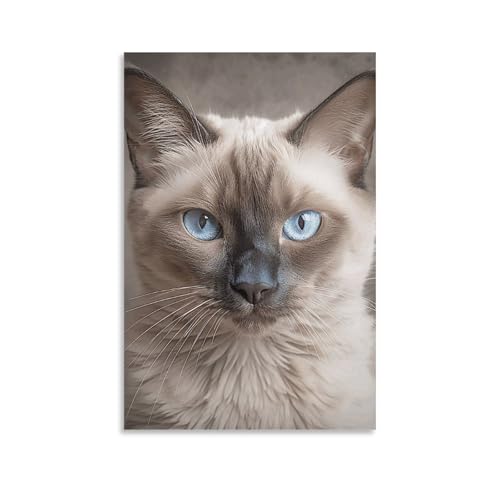 Toile murale chat siamois 60x90 cm poster décoration ZLFDSKGY unframe