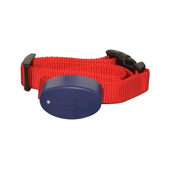 Extreme Dog Fence G2 Additional Fence Dog Collar with Large and Medium