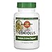 Mushroom Wisdom Super Coriolus - 120 VegTabs