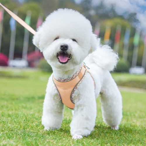 Doggiekit Hundegeschirr Kleine Hunde mit Leine, verstellbares reflektierendes Step in Welpengeschirr Leine, Atmungsaktives Mesh Hundegeschirr,weich gepolsterte Weste für extra kleine/mittelgroße Hunde