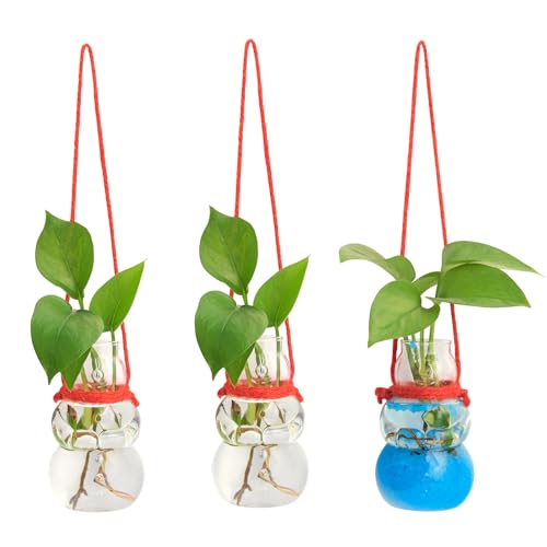 XXXFLOWER Wall Hanging Propagation Stations with Luminous Sand Christmas Decor for Home Garden Office 3 Pcs Snowman-Shape Hanging Planters for Indoor Plants Gifts for Plant Lovers（Plant NOT Included）