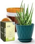 6 Inch Indoor Planter Pots with Drainage Hole and Tray Saucer,Flower Pots for Indoor Outdoor Garden Plants and Flowers, Multicolor, 4 Packs