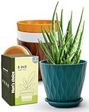 Goproauto 6 Inch Indoor Planter Pots with Drainage Hole and Tray Saucer,Flower Pots for Indoor Outdoor Garden Plants and Flowers, Multicolor, 4 Packs