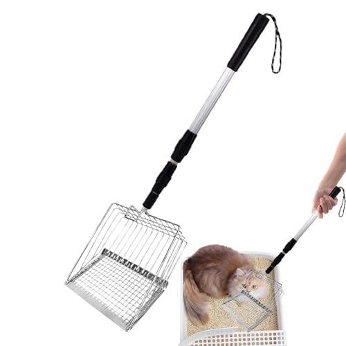 S~p̔L̃XN[p[AL̃^[XN[v - fB[vVxłݔXN[p[ӂ邢ɂ܂ - ƒpVjAybgPÂ߂̐lԍHwɊÂCh}EXv[p[Vt^[