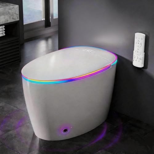 Luxury Smart Toilet with Bidet Built in, Bidet Toilet with