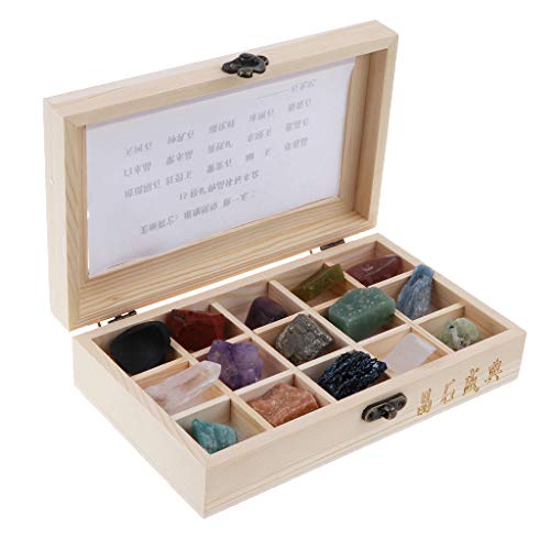 Sharplace Rock Mineral Collection Kit di Scienze Geologiche Giocattolo di Scienze della Terra - Set di 15