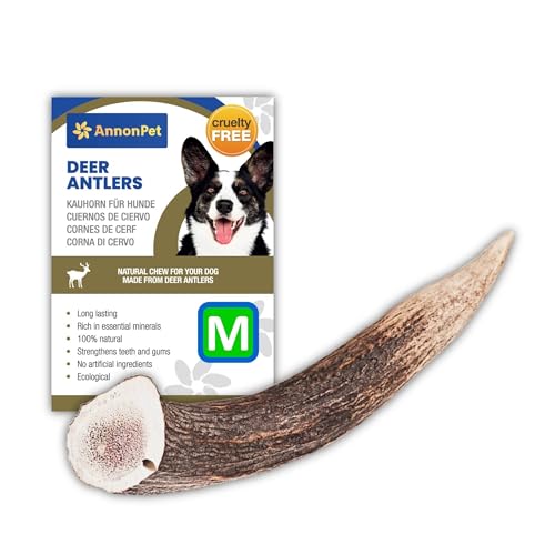 AnnonPet® Corno di Cervo | Masticativi Naturali per Cani | Osso di Cervo per Cani Ricco di Calcio e Fosforo |Ideale per l'Igiene Orale e la Salute Dentale | Riduce tartaro e ansia (Medium)