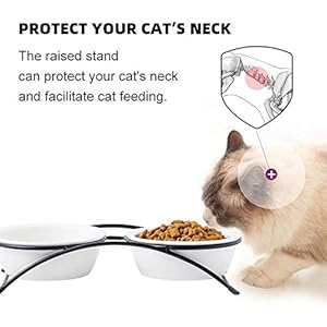 Elevated Cat Bowls, Dog Bowl, Ceramic Raised Cat Food Water Bowl Set with Metal Stand for Indoor Cats Small Dog, Prevent Neck Pain,12 Ounces, Cute Paw Pattern